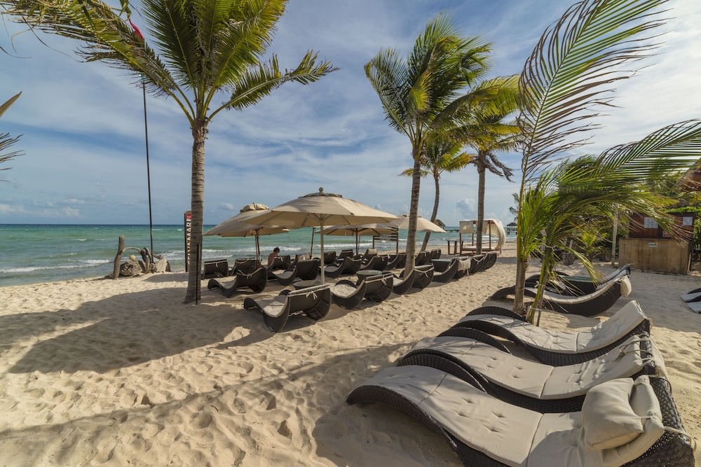 Mvngata Beach Hotel — Beach in Playa del Carmen, Quintana Roo