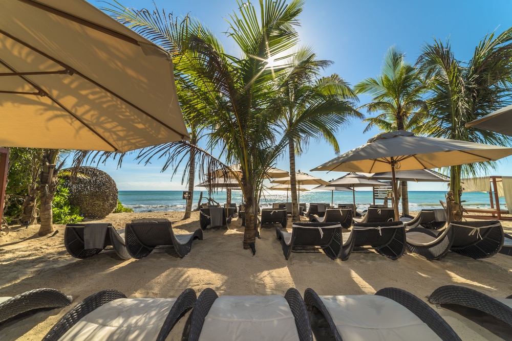 Mvngata Beach Hotel — Beach in Playa del Carmen, Quintana Roo