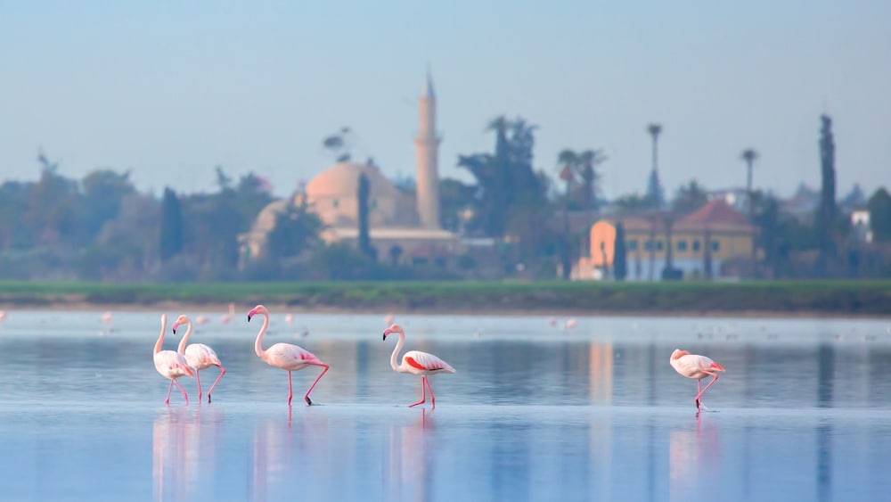 Hotel Indigo Larnaca by IHG — Outdoors in Larnaca, Larnaca Region
