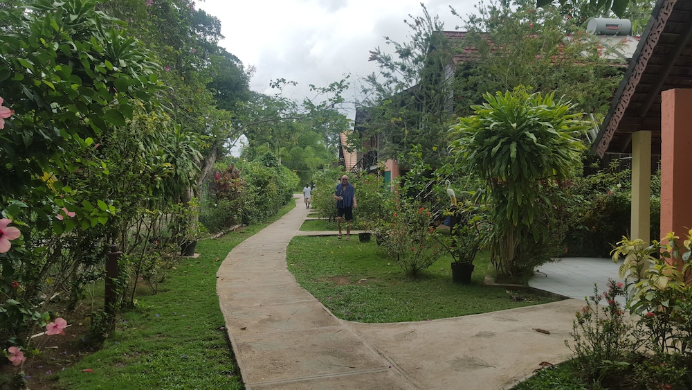 Firefly Beach Cottages and Suites — Hotel building in Negril