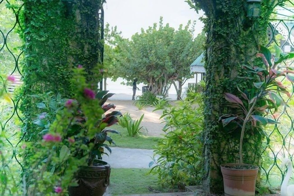 Firefly Beach Cottages and Suites — Hotel building in Negril