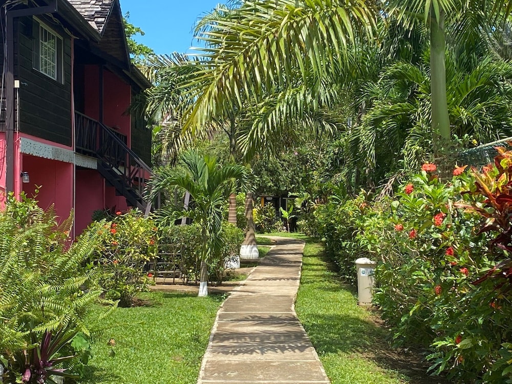 Firefly Beach Cottages and Suites — Main photo in Negril