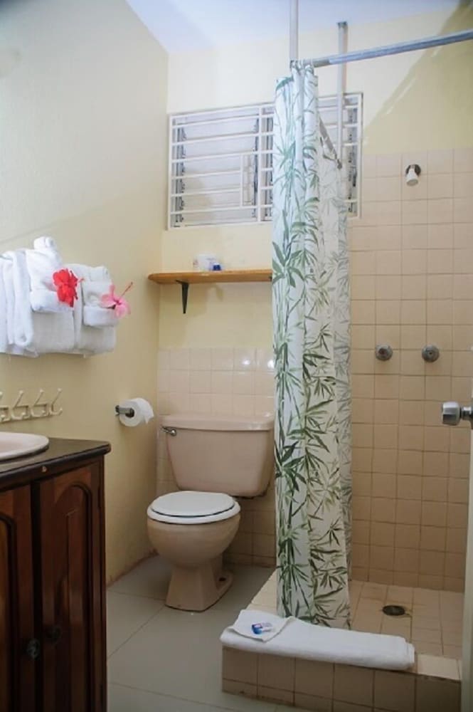 Firefly Beach Cottages and Suites — Hotel rooms in Negril