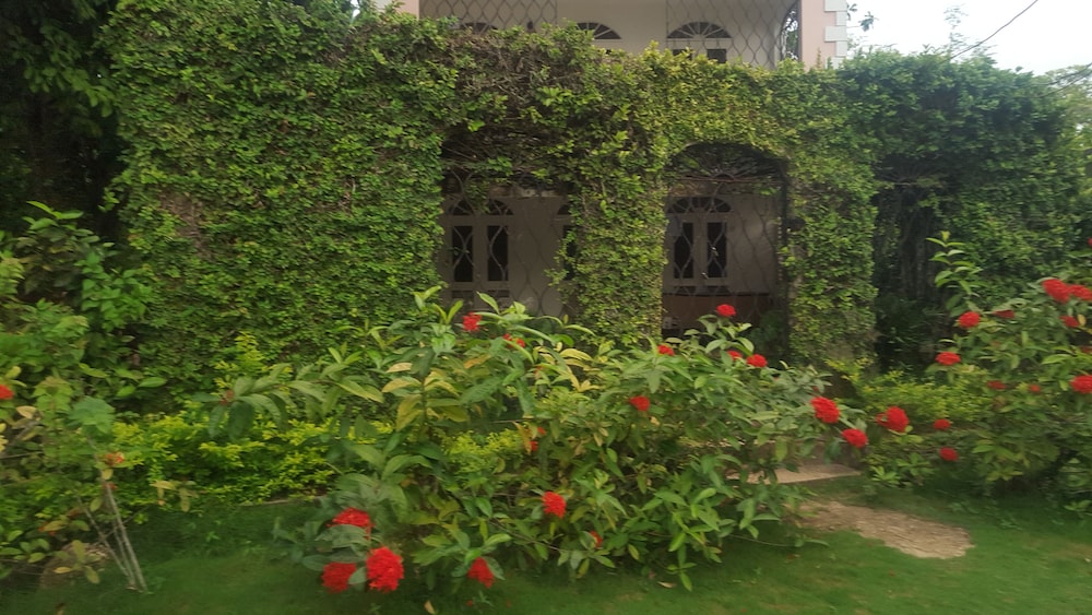 Firefly Beach Cottages and Suites — Hotel building in Negril