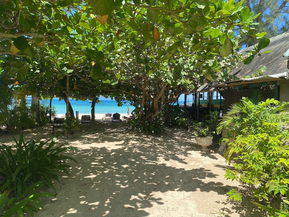 Firefly Beach Cottages and Suites — Beach in Negril