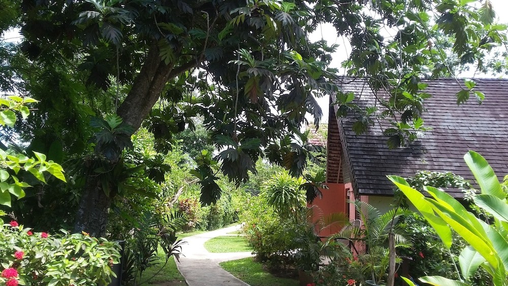 Firefly Beach Cottages and Suites — Hotel building in Negril