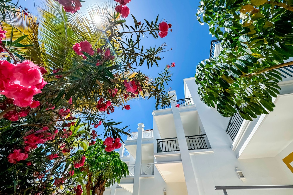 Apartamentos Parque del Sol — Hotel building in Costa Adeje, Canary Islands