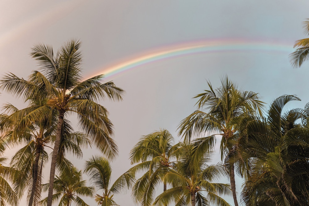 Ohia Waikiki Studio Suites — Beach in Honolulu, Hawaii