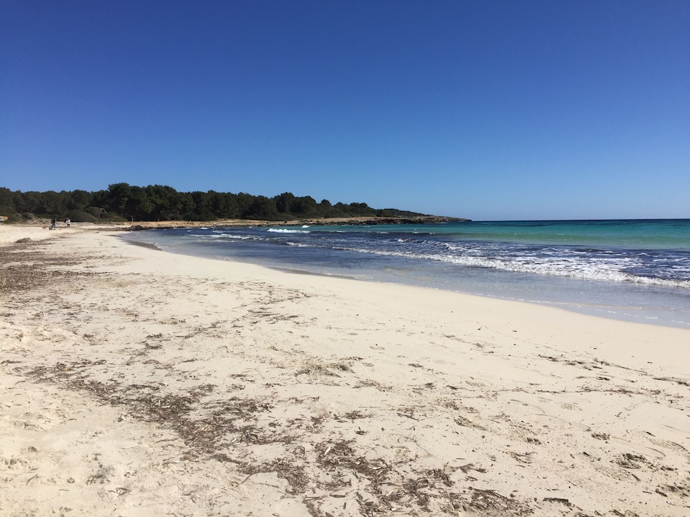 BJ Apartamentos Club Sa Coma — Beach in Sa Coma, Balearic Islands
