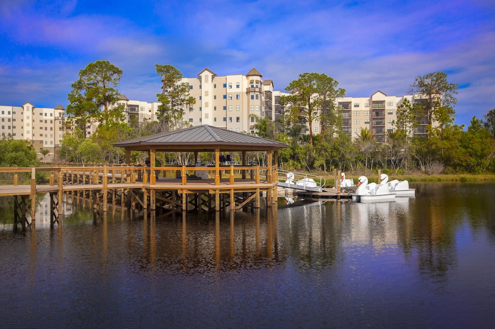 The Grove Resort & Water Park Orlando — Attractions in the area in Winter Garden, Florida