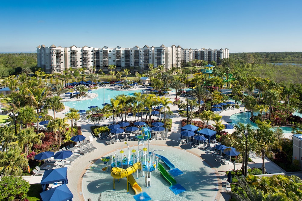 The Grove Resort & Water Park Orlando — Swimming pool in Winter Garden, Florida