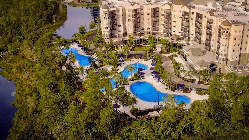 The Grove Resort & Water Park Orlando — Swimming pool in Winter Garden, Florida