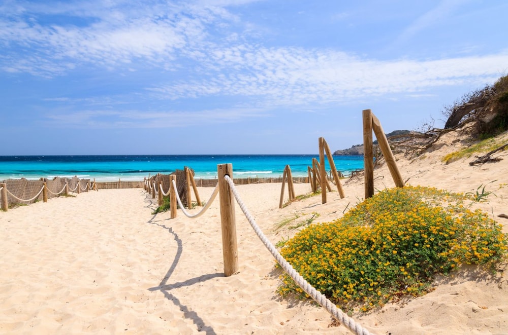 Parque Nereida Suites Hotel — Beach in Cala Ratjada, Balearic Islands