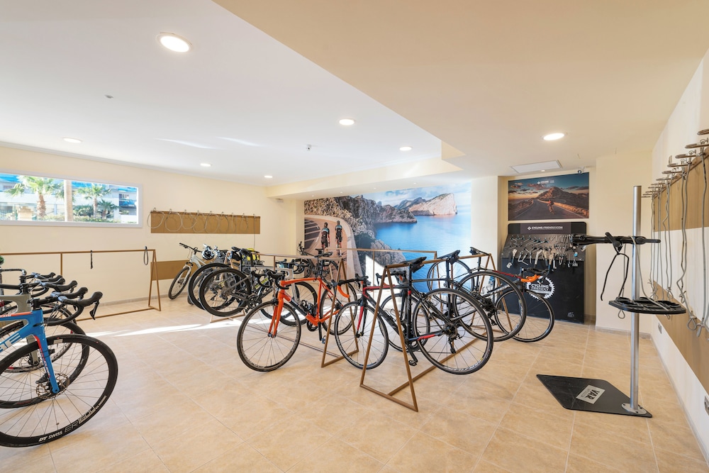 Aparthotel Can Picafort Palace — Sports & recreation in Can Picafort, Balearic Islands