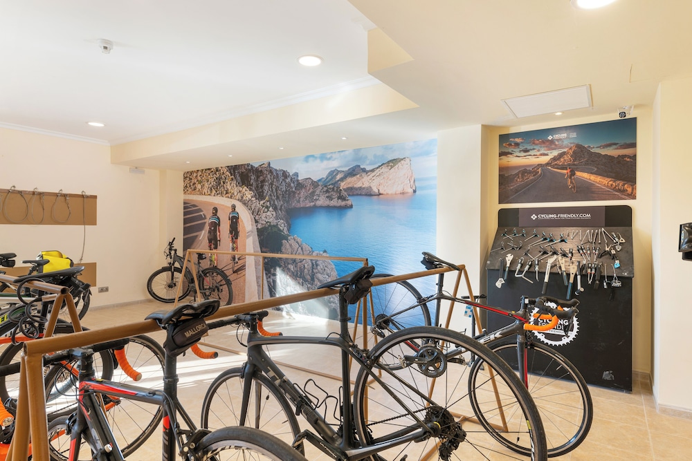 Aparthotel Can Picafort Palace — Sports & recreation in Can Picafort, Balearic Islands