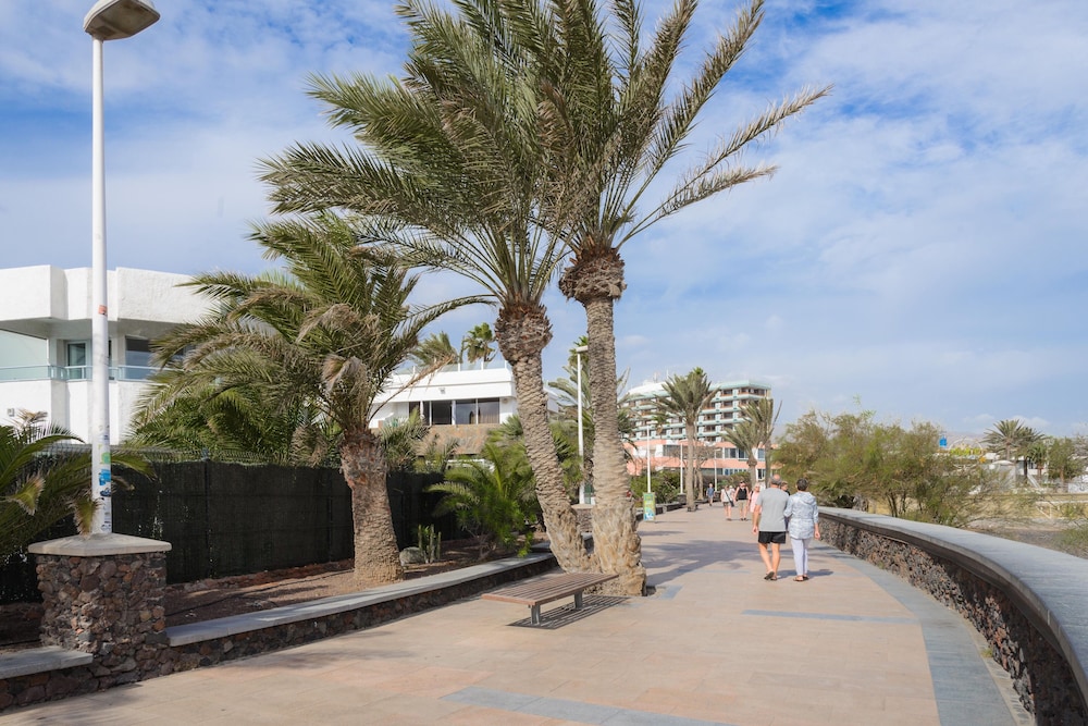 Apartamentos Las Arenas — Attractions in the area in Playa del Ingles, Canary Islands