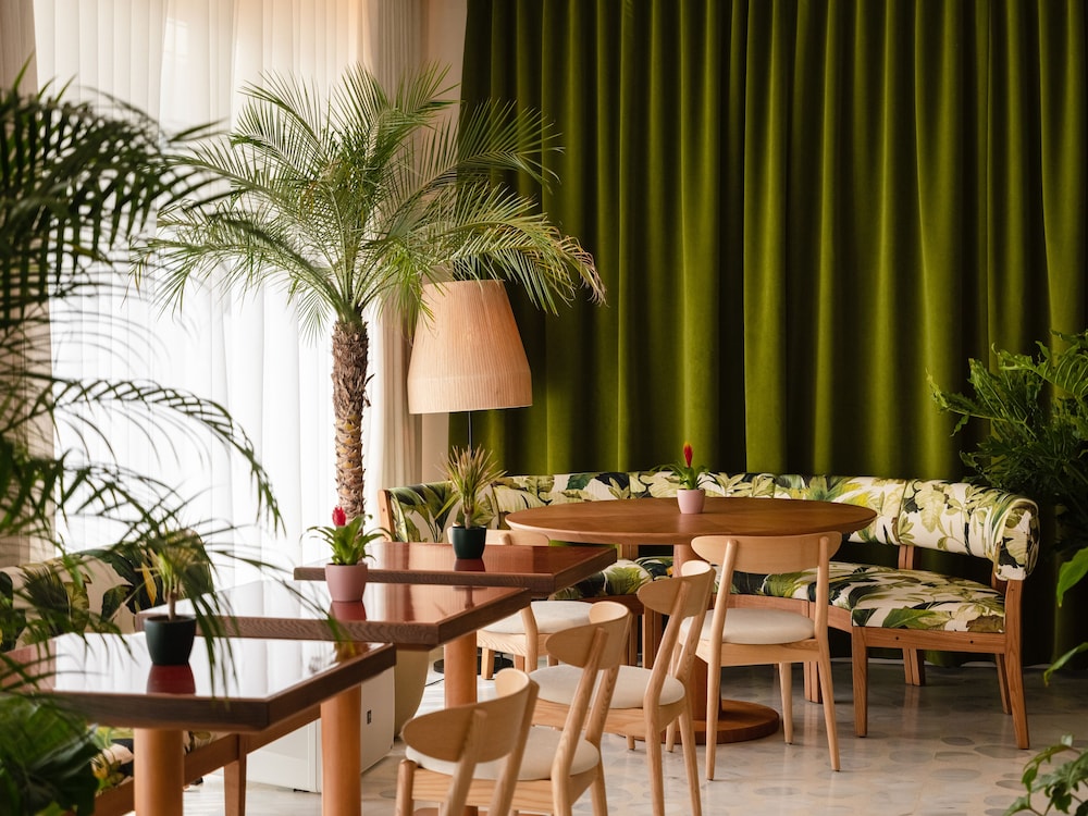 The Standard, Ibiza — Restaurant & bars in Ibiza Town, Balearic Islands