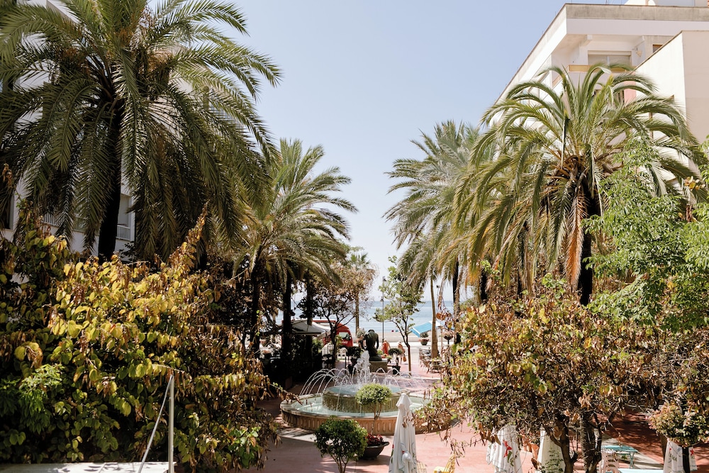 Hotel Estepona Plaza — Attractions in the area in Estepona, Andalusia