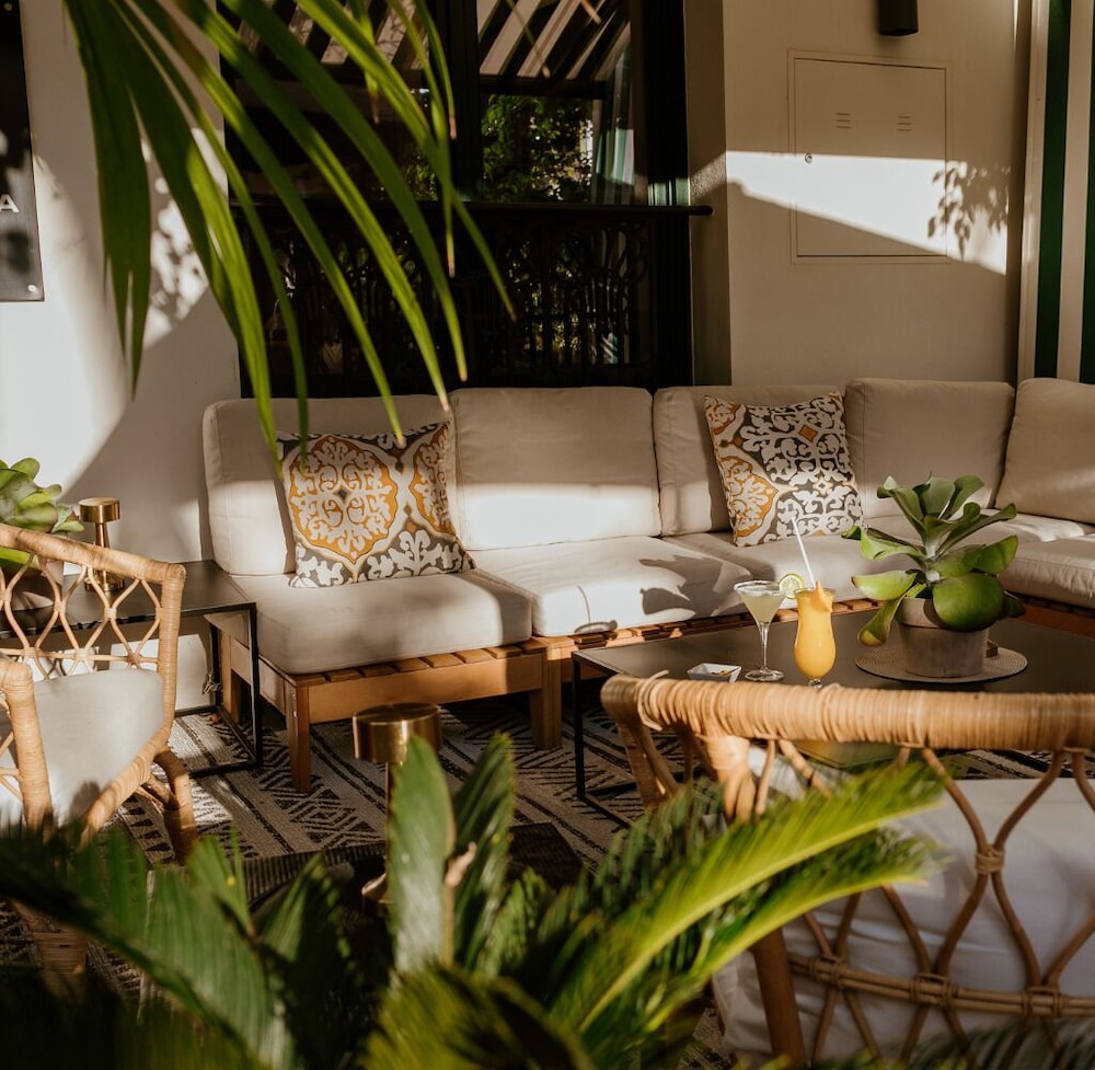 Hotel Estepona Plaza — Restaurant & bars in Estepona, Andalusia