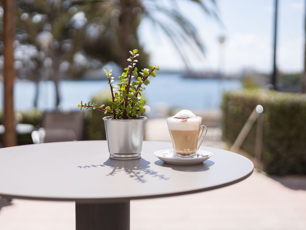 Senator Port Mahón — Restaurant & bars in Mahon, Balearic Islands
