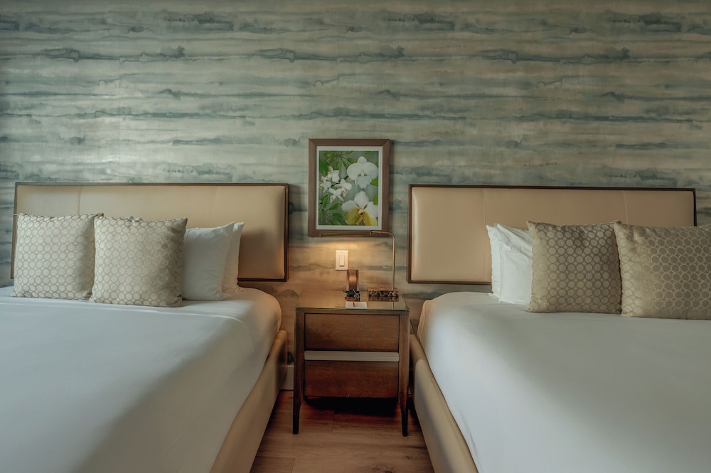 Iberostar Waves Miami Beach — Hotel rooms in Miami, Florida