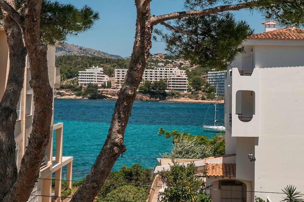 Flipflop Surfing Playa Apartments — Attractions in the area in Santa Ponca, Balearic Islands