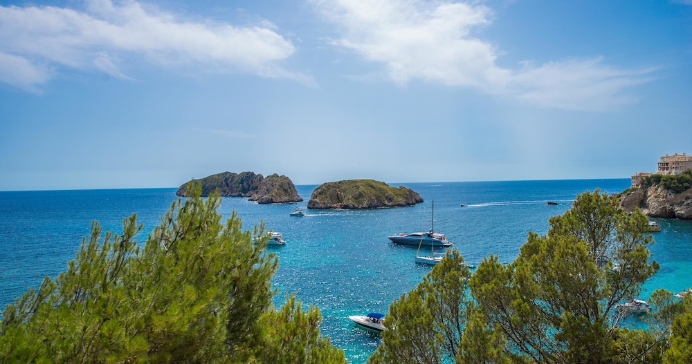 Flipflop Surfing Playa Apartments — Attractions in the area in Santa Ponca, Balearic Islands