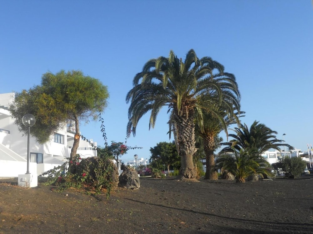 Apartamentos Club Pocillos — Attractions in the area in Puerto del Carmen, Canary Islands