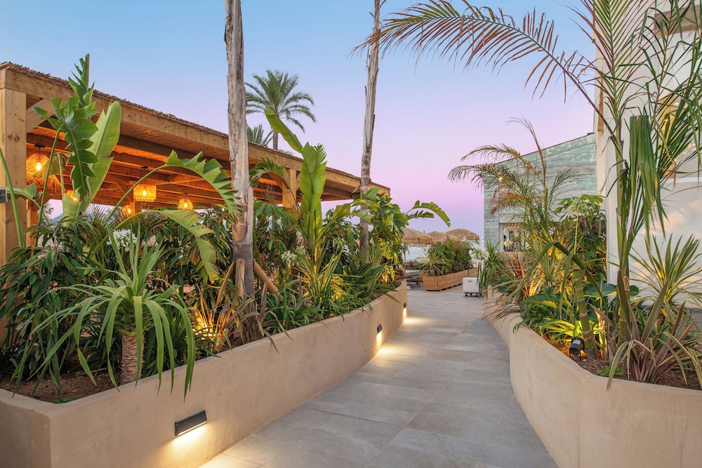 Hotel Atolon & Kaafu Beach Club — Restaurant & bars in Cala Bona, Balearic Islands