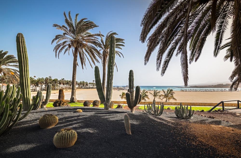 Barceló Fuerteventura Royal Level - Adults Only — Beach in Costa de Antigua, Canary Islands