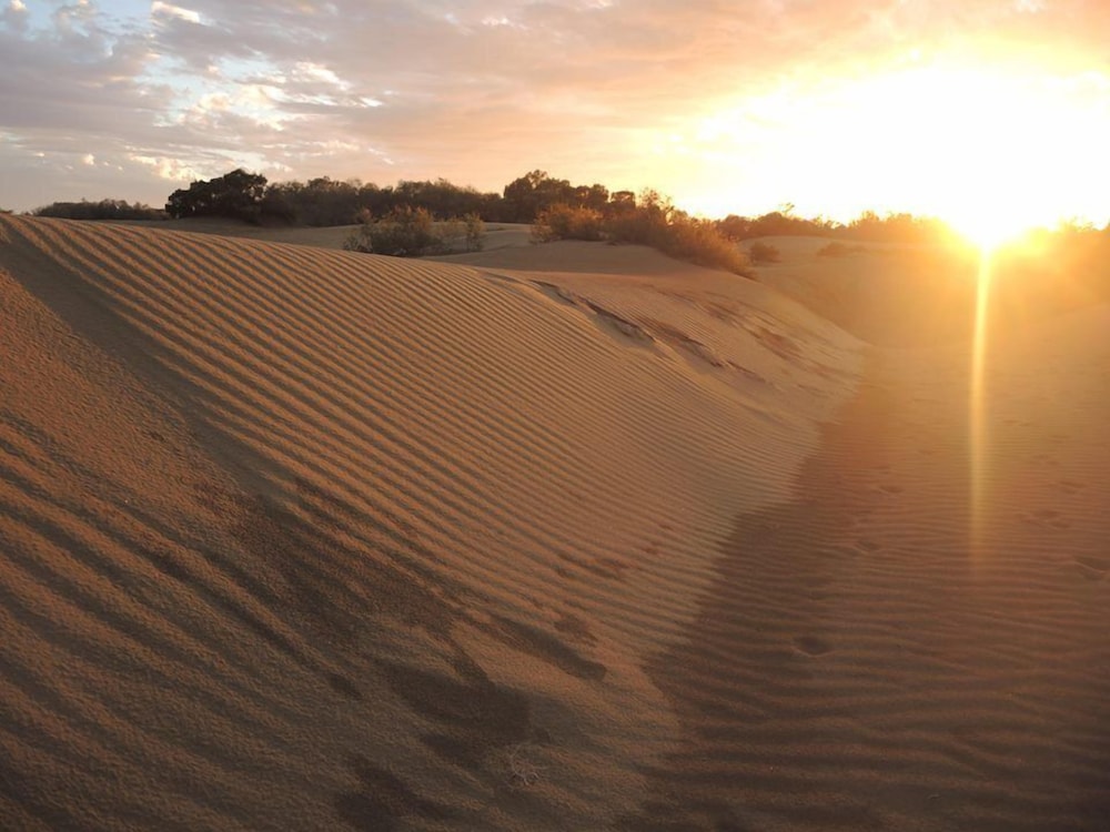 Relaxia Los Girasoles — Attractions in the area in Playa del Ingles, Canary Islands