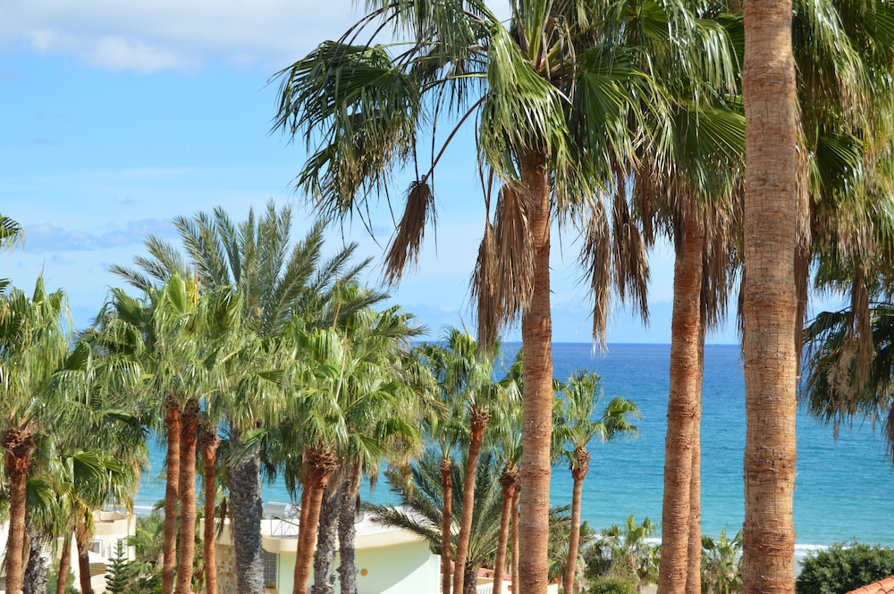 Bahía Calma Beach — Beach in Costa Calma, Canary Islands