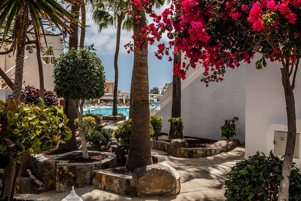 Bahía Calma Beach — Swimming pool in Costa Calma, Canary Islands