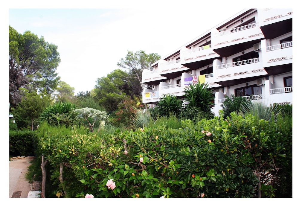 Apartamentos del Rey — Hotel building in Portinatx, Balearic Islands