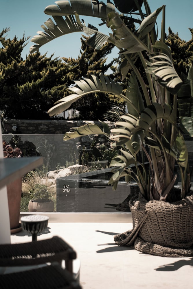Asty Mykonos Hotel & Spa -World of One Hotel Group — Swimming pool in Mykonos Town, South Aegean