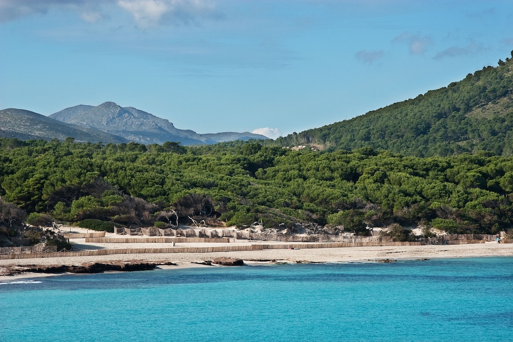 Hotel Bell Port — Beach in Cala Ratjada, Balearic Islands