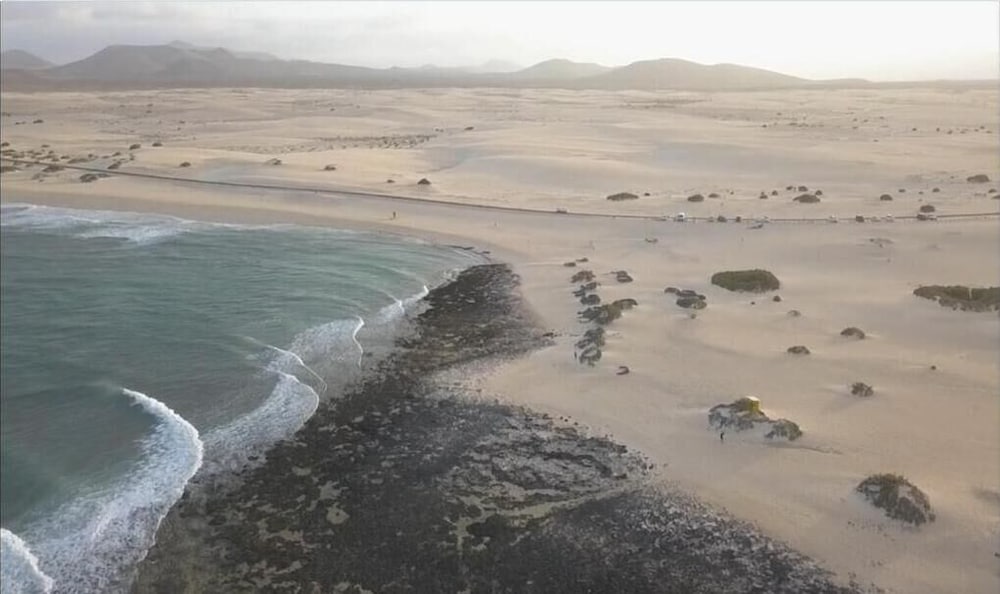 Apartamentos Erika - Adults Only — Beach in Corralejo, Canary Islands