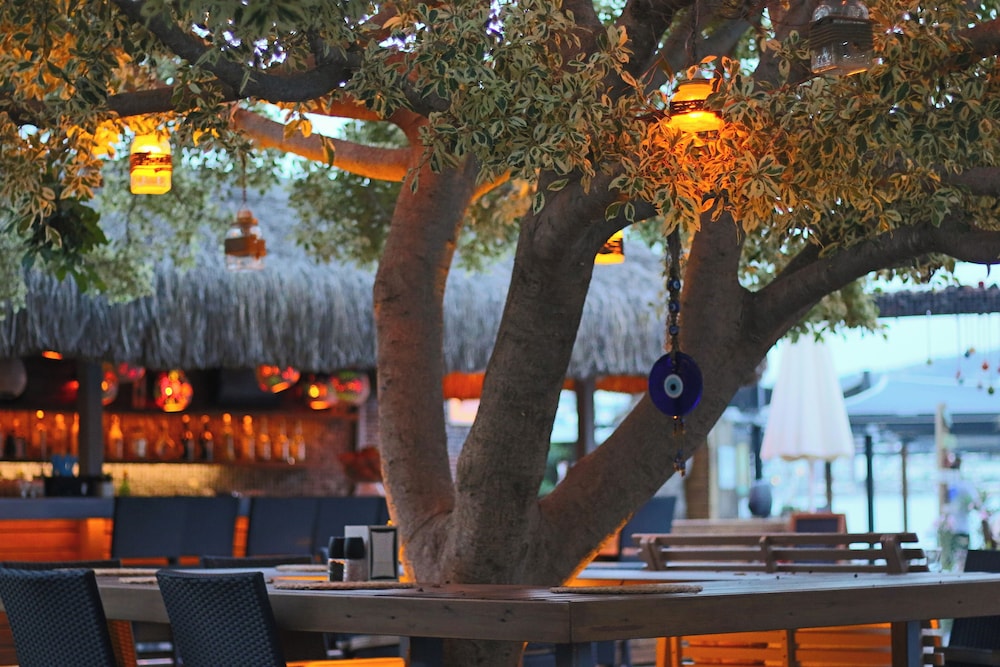 Costa Farilya Special Class Hotel Bodrum - Special Class — Restaurant & bars in Bodrum, Mugla