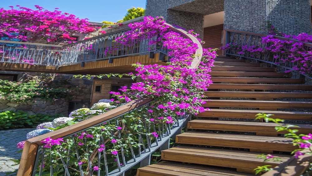 Costa Farilya Special Class Hotel Bodrum - Special Class — Hotel building in Bodrum, Mugla