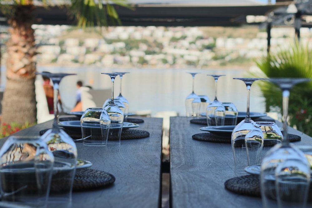 Costa Farilya Special Class Hotel Bodrum - Special Class — Restaurant & bars in Bodrum, Mugla