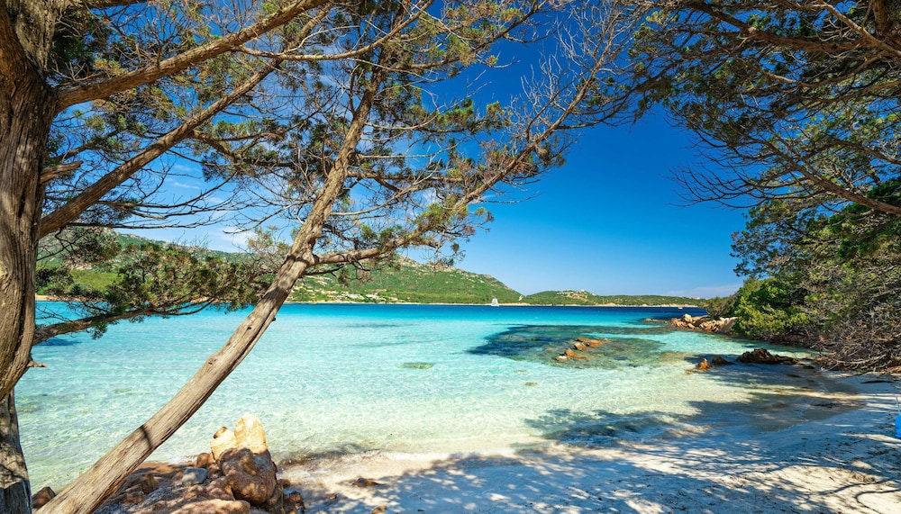 7Pines Resort Sardinia-A Destination By Hyatt — Beach in Arzachena, Sardinia