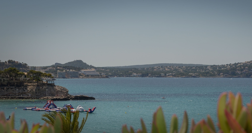 Paguera Treff Boutique Hotel — Attractions in the area in Peguera, Balearic Islands