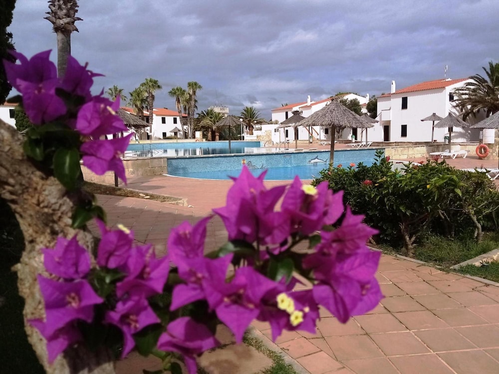 Apartamentos Vistapicas — Swimming pool in Cala'n Blanes, Balearic Islands
