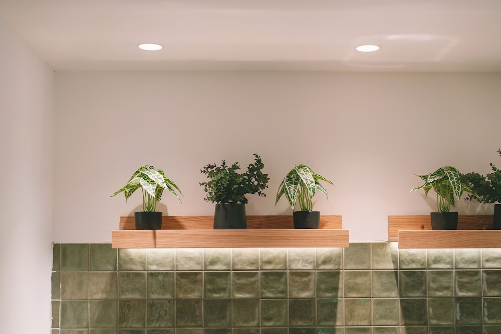 Boutique Hotel Petit Montisión — Restaurant & bars in Palma de Mallorca, Balearic Islands