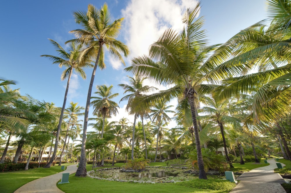 Melia Caribe Beach Resort - All Inclusive — Attractions in the area in Bavaro, La Altagracia
