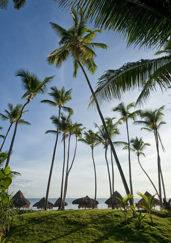 Melia Caribe Beach Resort - All Inclusive — Beach in Bavaro, La Altagracia