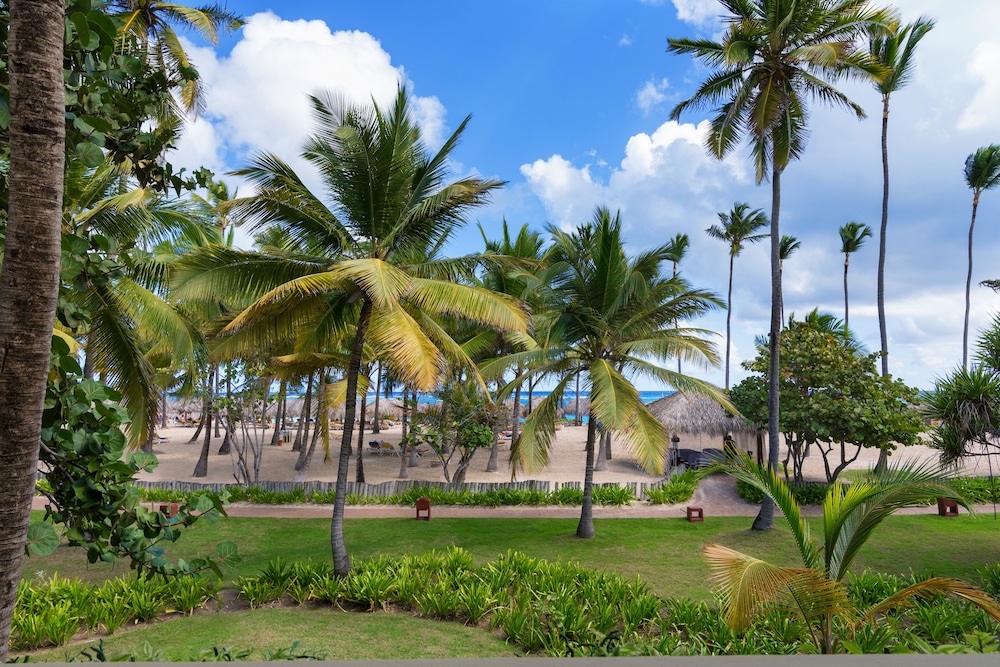 Iberostar Selection Coral Bávaro - All Inclusive — Beach in Bavaro, La Altagracia