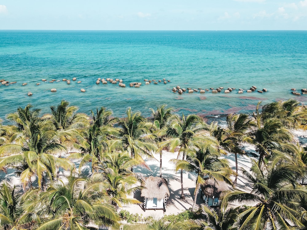 El Dorado Casitas Royale, All & More Inclusive - Adults Only — Beach in Playa del Carmen, Quintana Roo