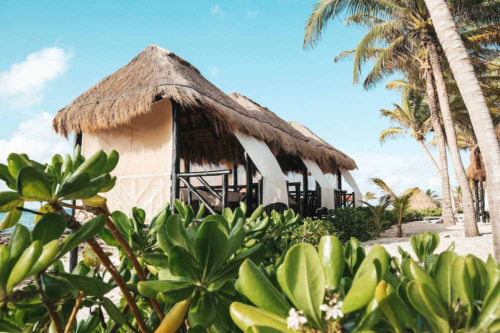 El Dorado Casitas Royale, All & More Inclusive - Adults Only — Beach in Playa del Carmen, Quintana Roo