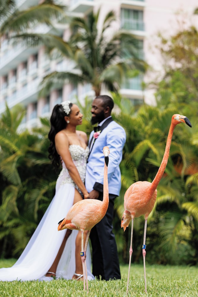 SLS Baha Mar — Attractions in the area in Nassau, New Providence